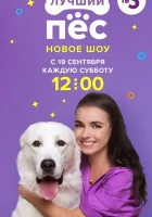  Лучший пёс смотреть онлайн тв шоу 1 сезон 